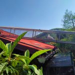 phoca_thumb_m_motlci tropic 31 Fotogalerie